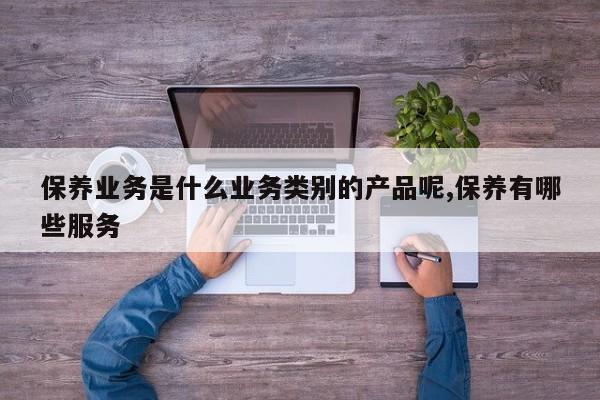 保养业务是什么业务类别的产品呢,保养有哪些服务