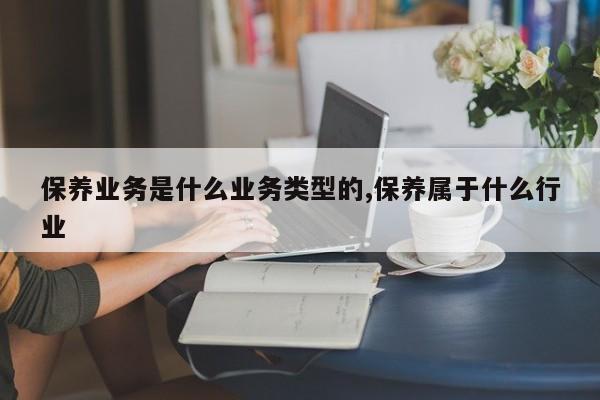 保养业务是什么业务类型的,保养属于什么行业
